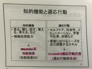 IMG-3591