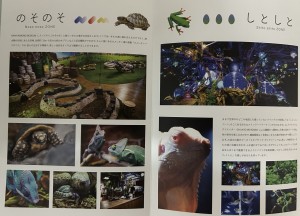 IMG-6818