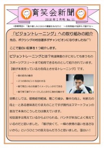 iolite_img001