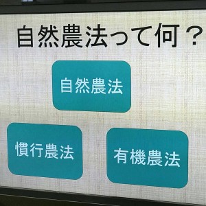 staff_blog05_img001