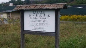 staff_blog05_img004