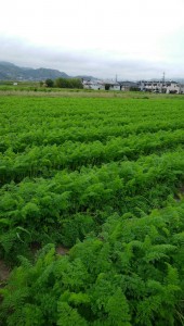 staff_blog05_img006