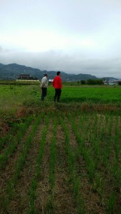 staff_blog05_img007