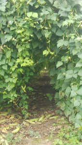 staff_blog05_img010