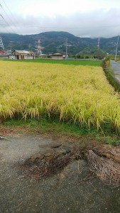 staff_blog05_img011