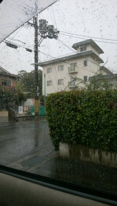 staff_blog08_img006