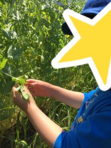 staff_blog102_img004