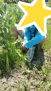 staff_blog102_img005