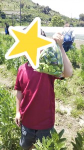 staff_blog102_img006
