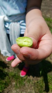 staff_blog102_img009