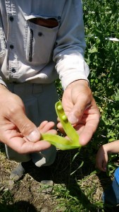 staff_blog102_img010