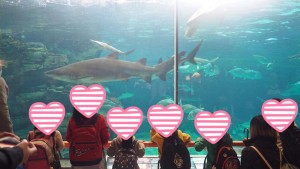 staff_blog10_img009
