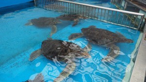 staff_blog10_img012
