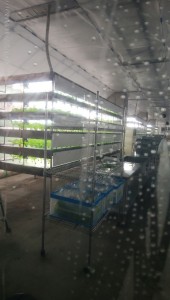 staff_blog18_img003