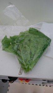 staff_blog18_img005