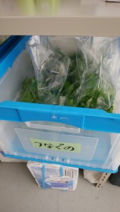 staff_blog18_img006