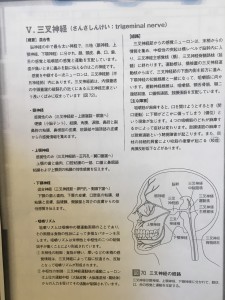 staff_blog205_img005