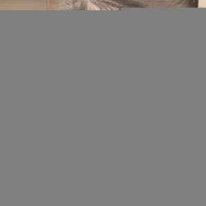 staff_blog213_img007
