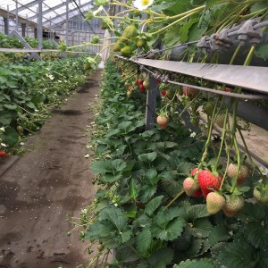 staff_blog310_img009