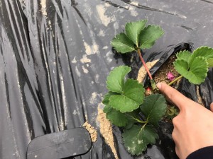 staff_blog_img057