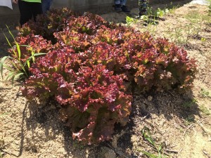 staff_blog_img088