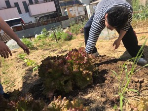 staff_blog_img089