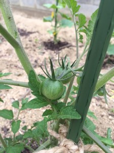 staff_blog_img092