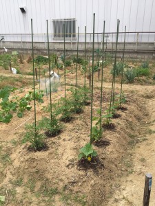 staff_blog_img093