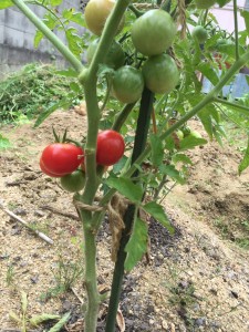 staff_blog_img111