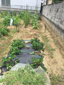 staff_blog_img114