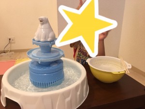 staff_blog_img131