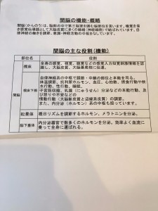 staff_blog_img136