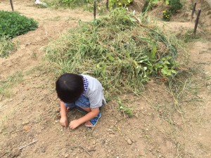 staff_blog_img226