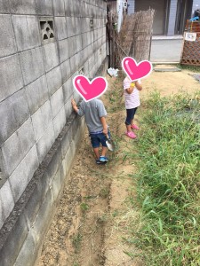 staff_blog_img227