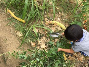 staff_blog_img228
