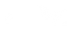 top_bnr_bg2