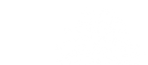 top_bnr_bg3